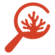 CoralBricks logo